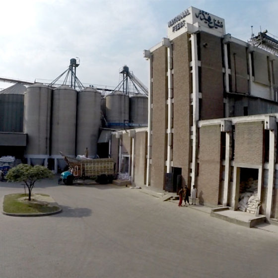 National Feeds